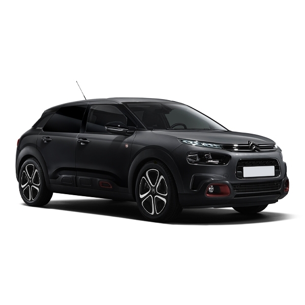 C4 cactus (manual)